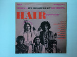 Hair: An American Tribal Love-Rock Musical INTS 1133