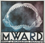 M. Ward ‎– What A Wonderful Industry